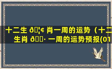 十二生 🦢 肖一周的运势（十二生肖 🕷 一周的运势预报(01.08-01.14 )）